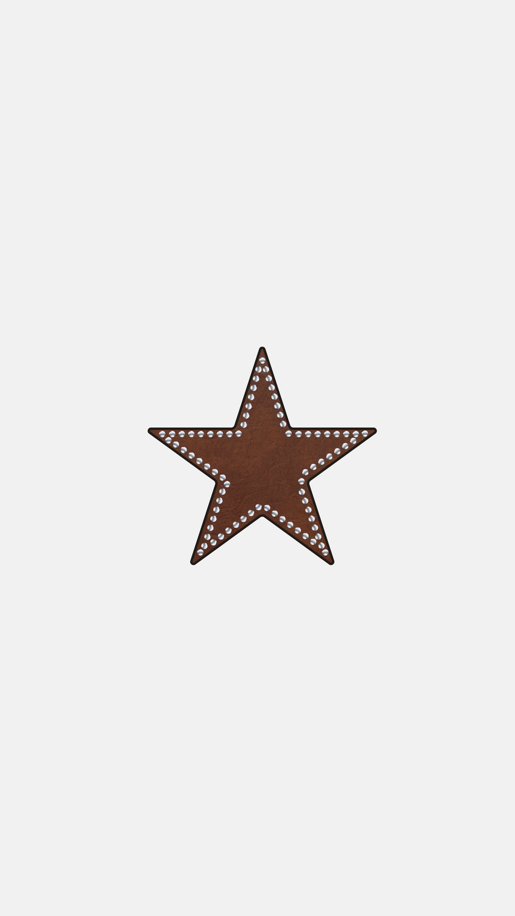 Rodeo Star - Sticker