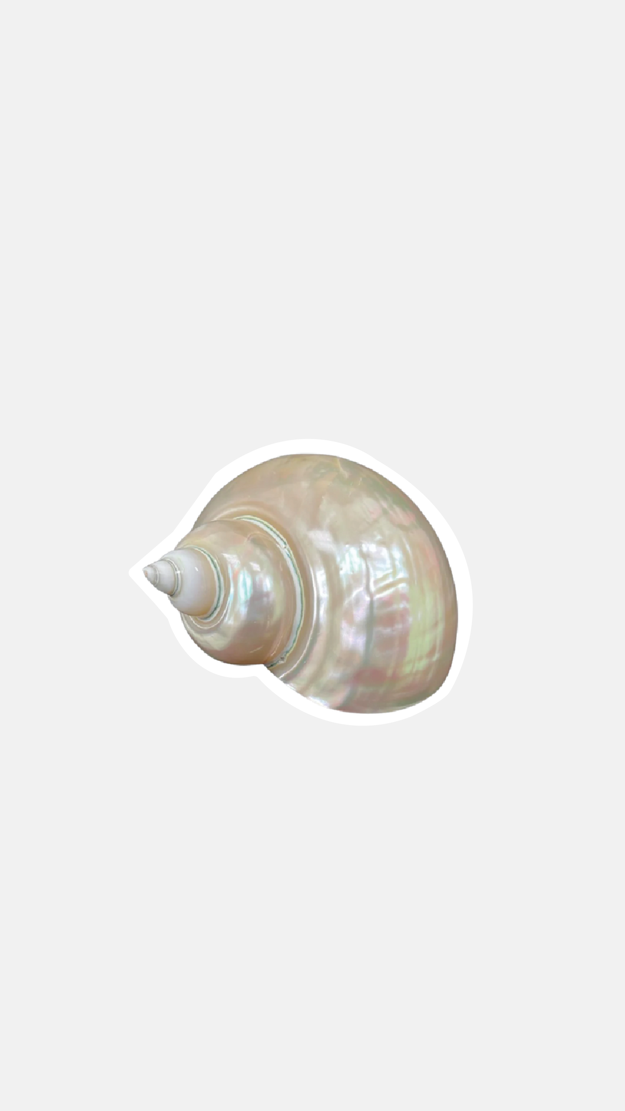 Mermaid's Seashell Sticker