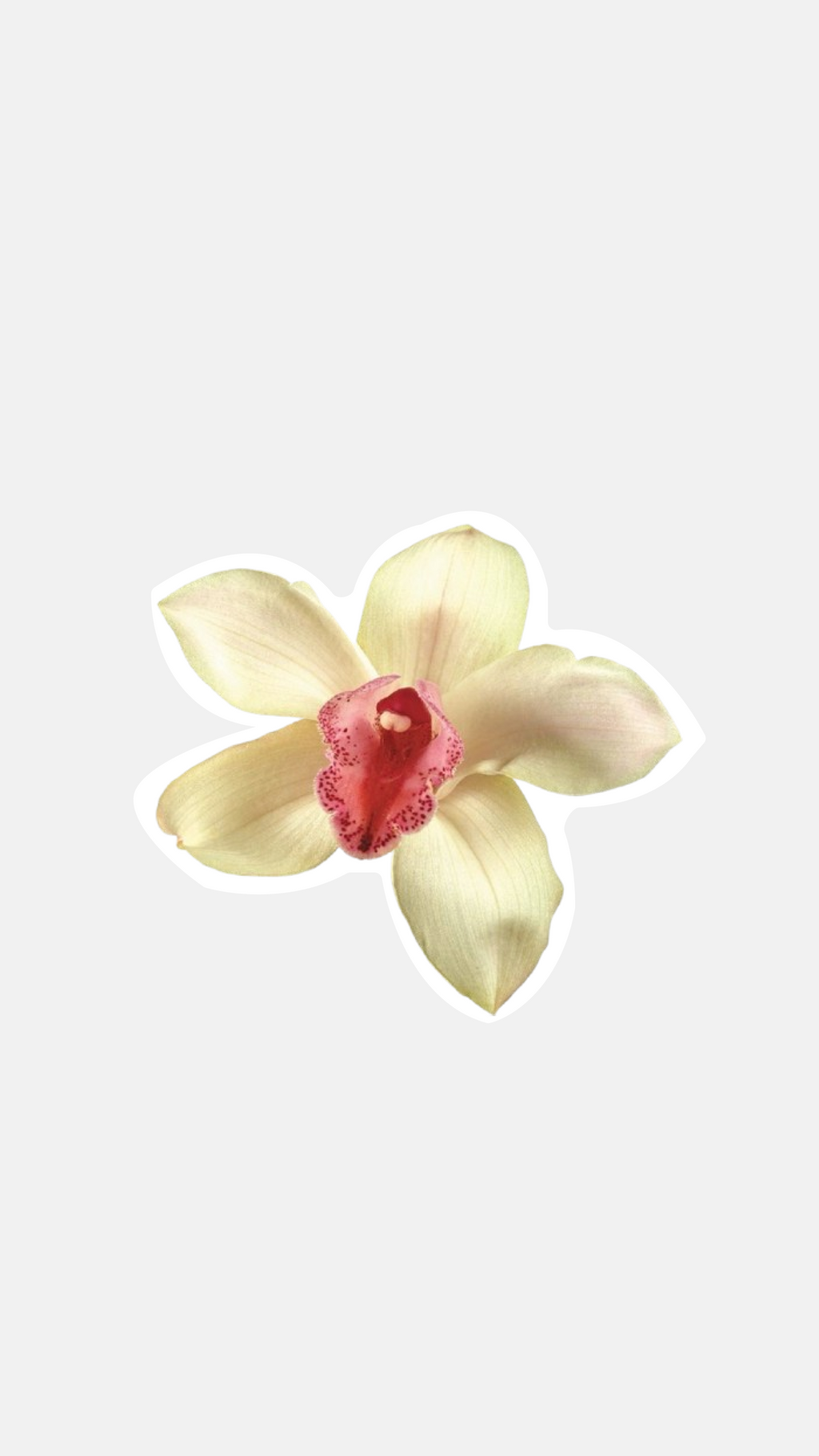 Summer Orchid Sticker