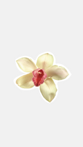 Summer Orchid Sticker