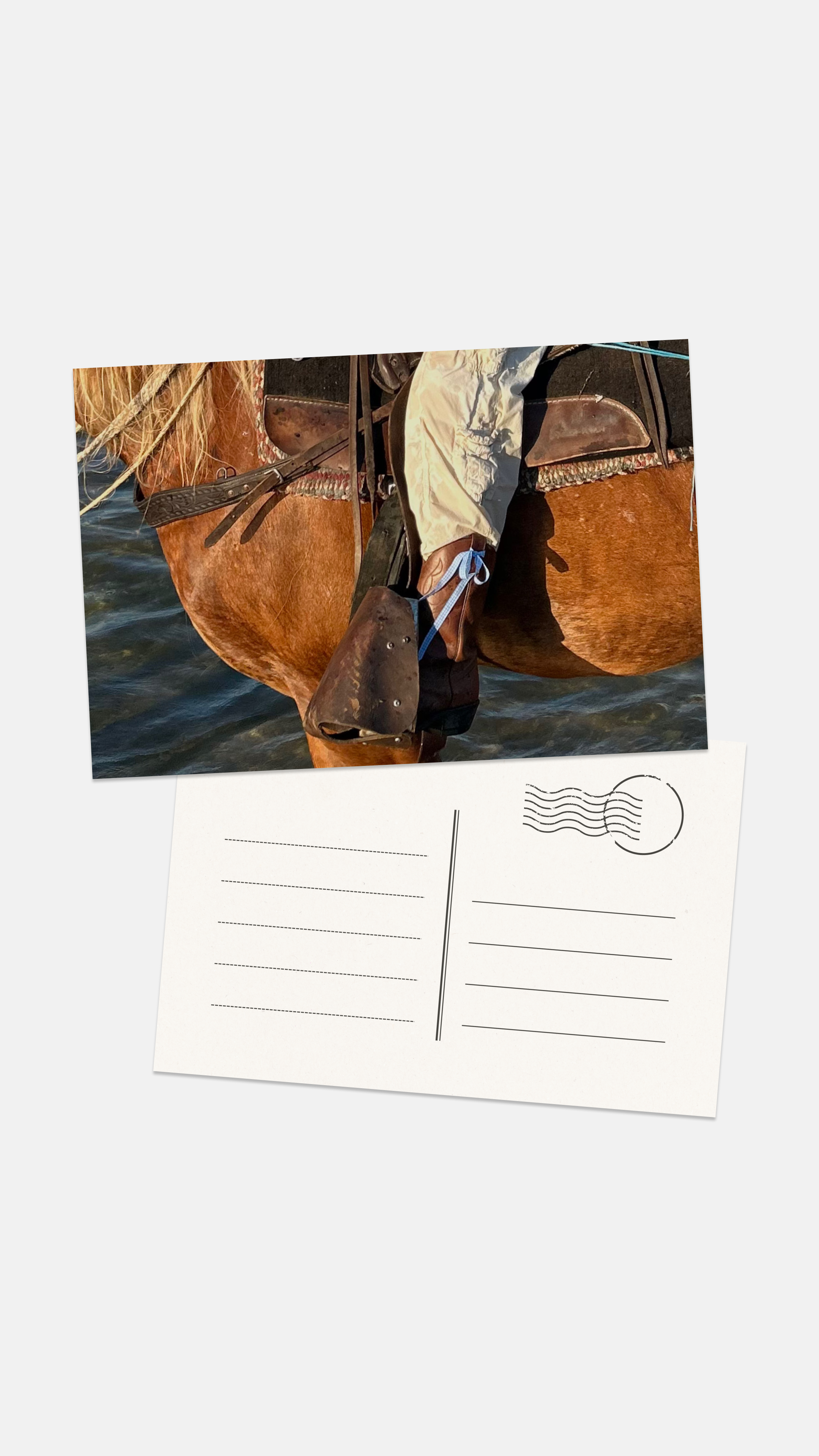 Postcard Prints