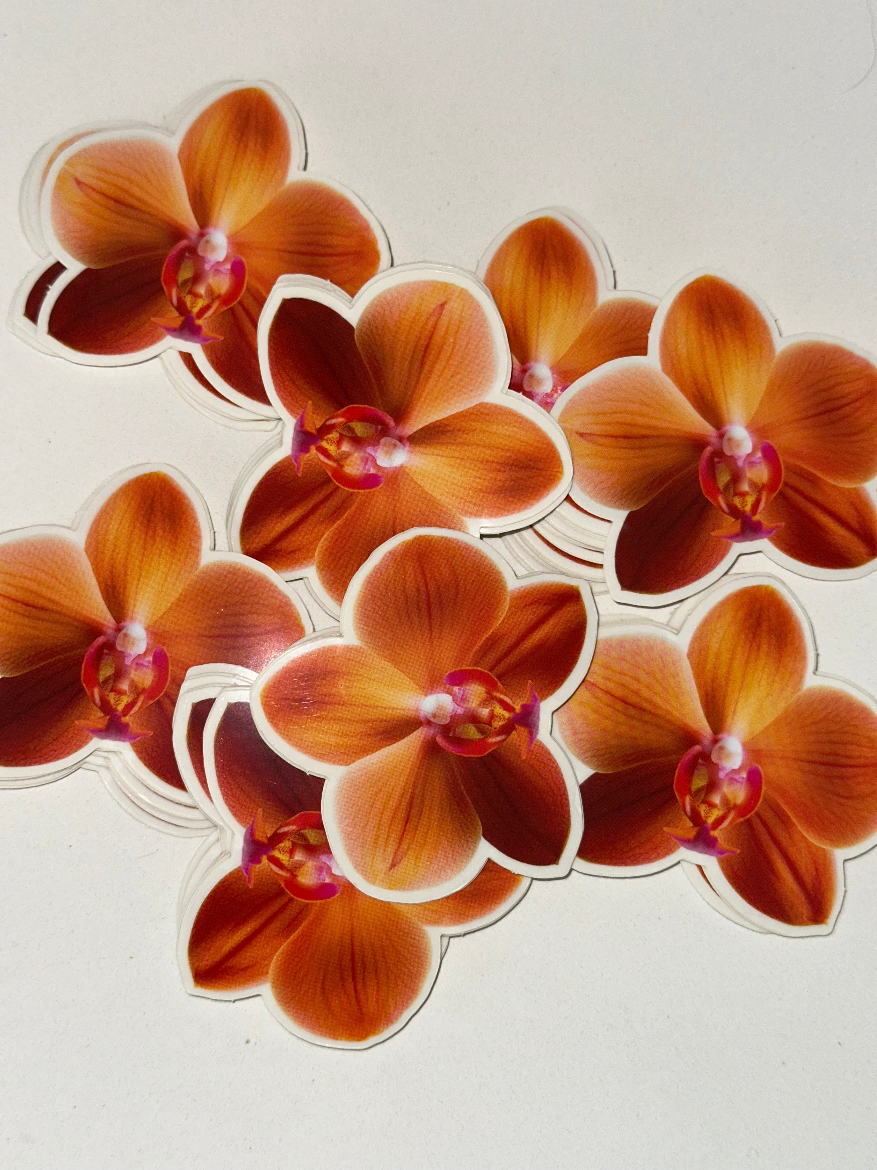 Jumbo Orange Orchid Sticker