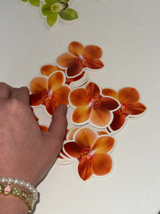 Jumbo Orange Orchid Sticker