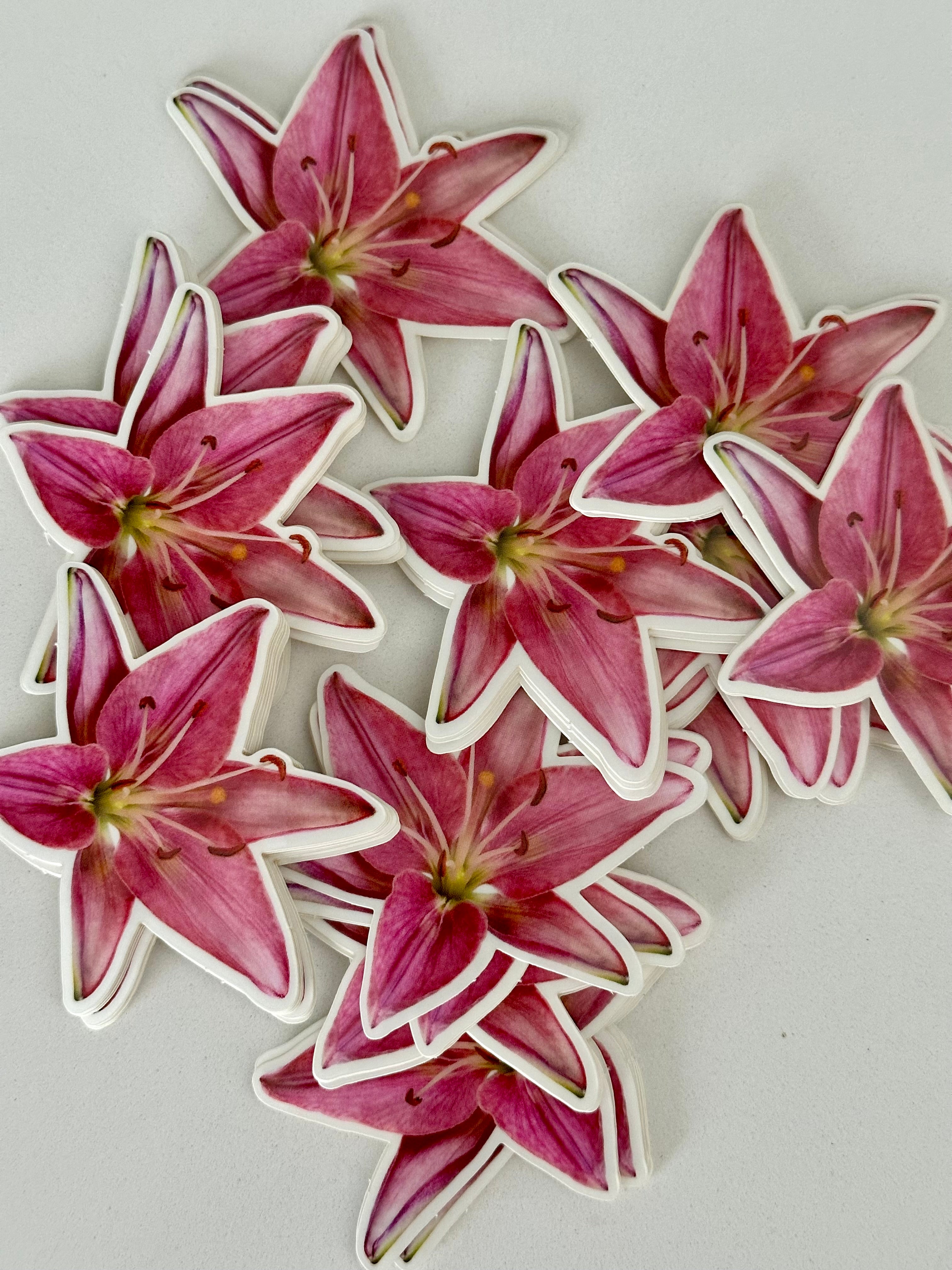 Jumbo Pink Lily Sticker