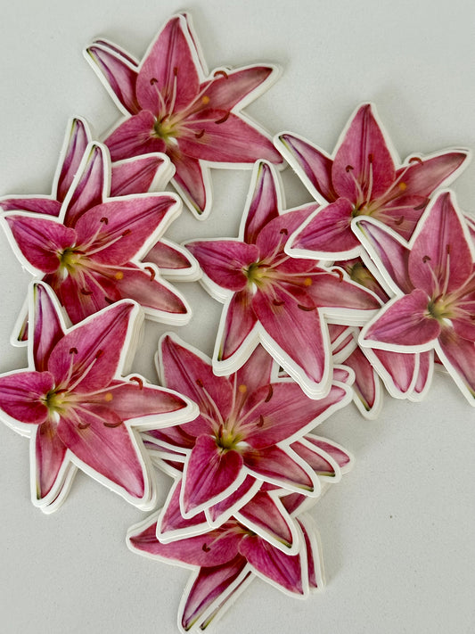 Jumbo Pink Lily Sticker