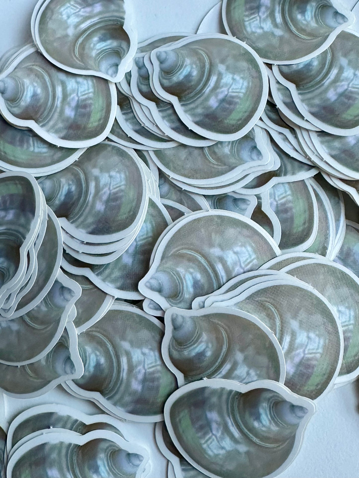 Mermaid's Seashell Sticker