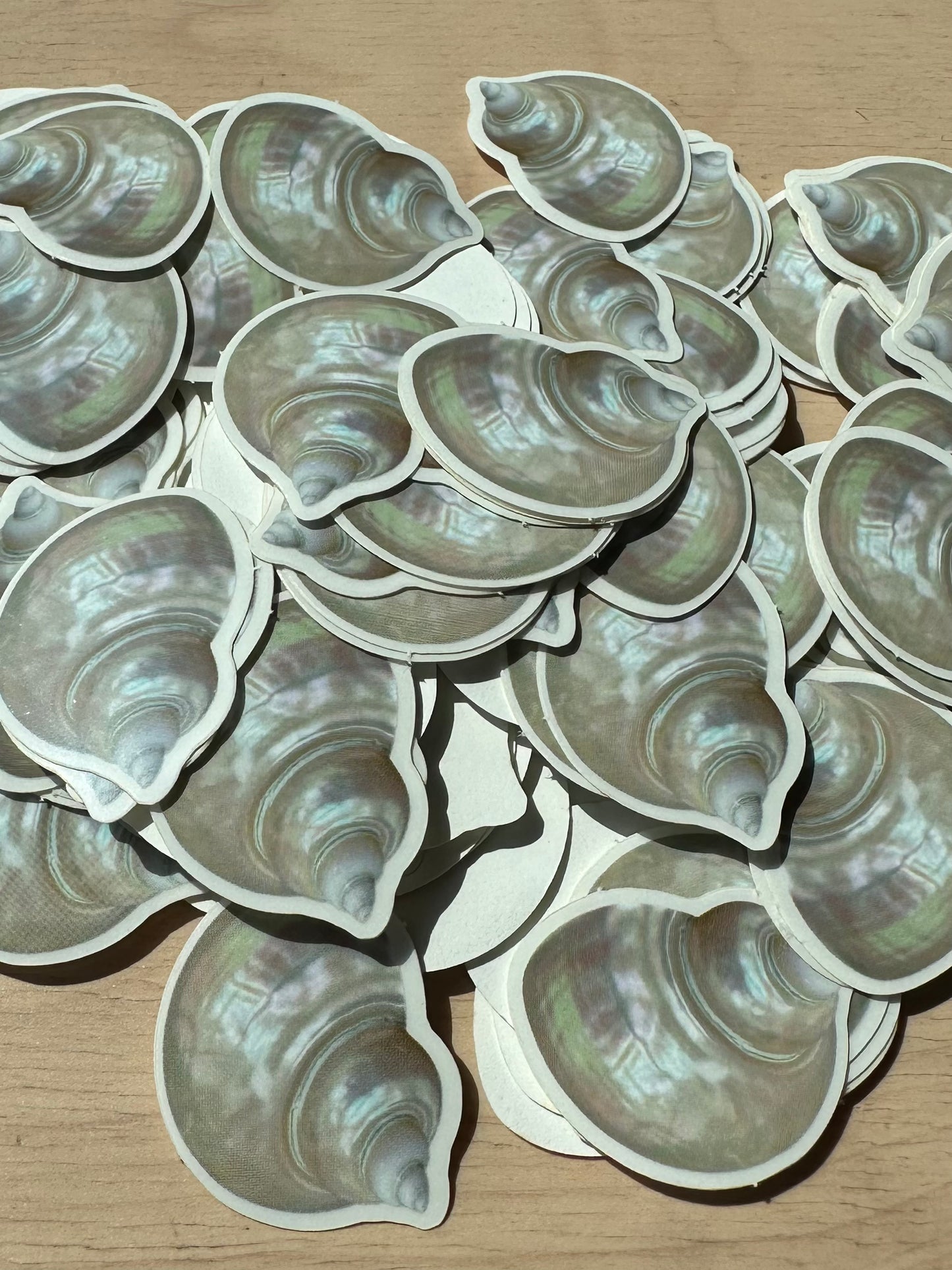 Mermaid's Seashell Sticker