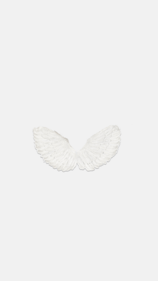 Angel Wings Sticker