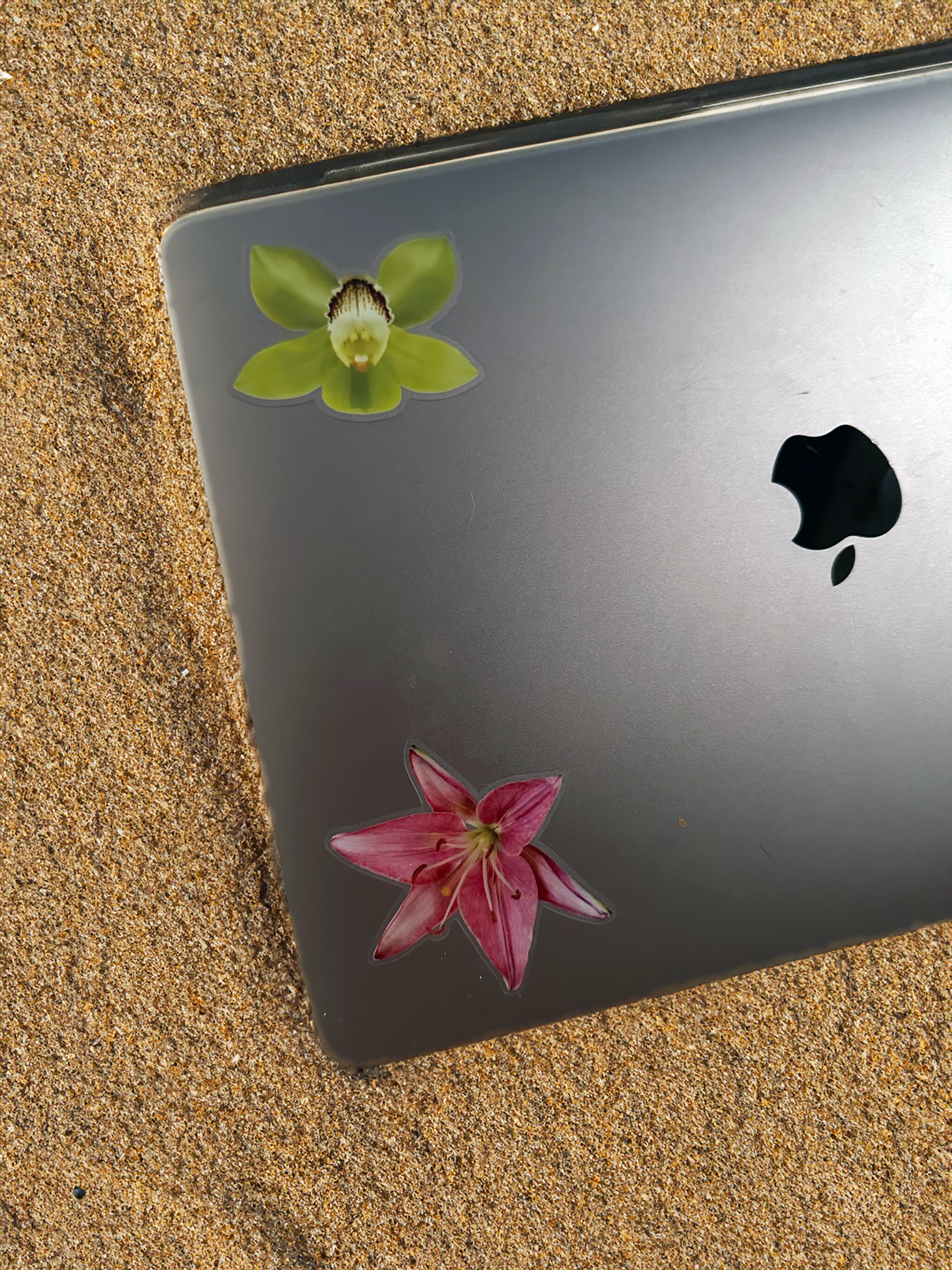 Jumbo Matcha Orchid Sticker