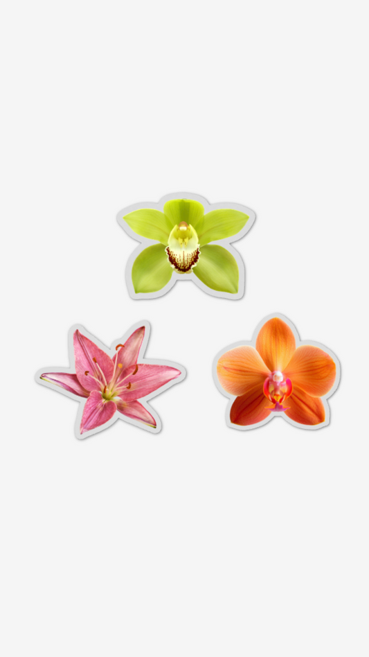 Jumbo Summer Blooms Sticker Pack